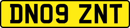 DN09ZNT