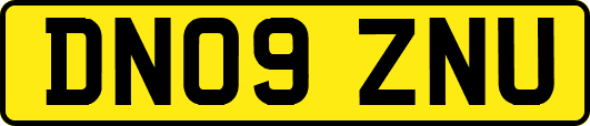 DN09ZNU