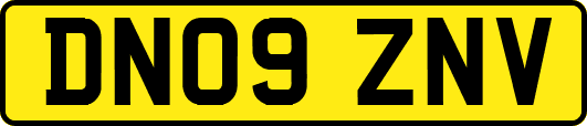 DN09ZNV