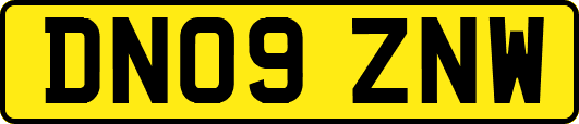 DN09ZNW