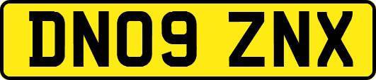 DN09ZNX