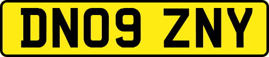 DN09ZNY