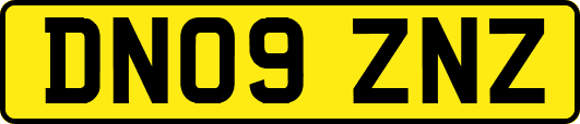 DN09ZNZ