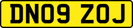 DN09ZOJ