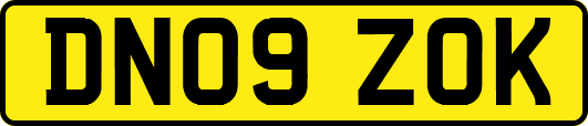 DN09ZOK