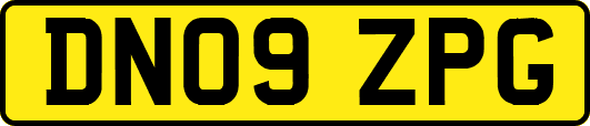 DN09ZPG