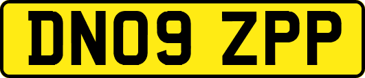 DN09ZPP