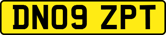 DN09ZPT