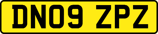 DN09ZPZ