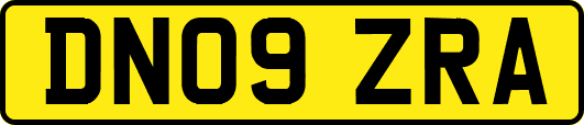 DN09ZRA