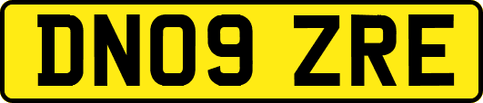 DN09ZRE