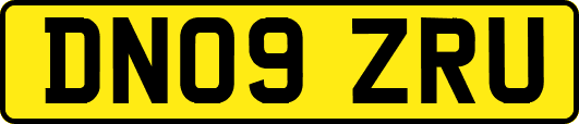 DN09ZRU