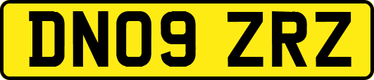 DN09ZRZ