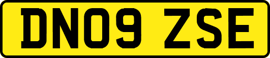 DN09ZSE
