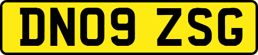 DN09ZSG