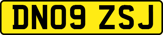DN09ZSJ