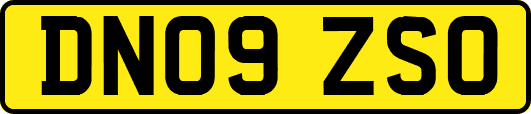DN09ZSO