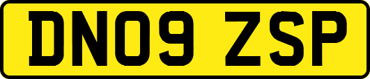 DN09ZSP