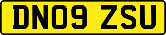 DN09ZSU