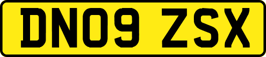 DN09ZSX