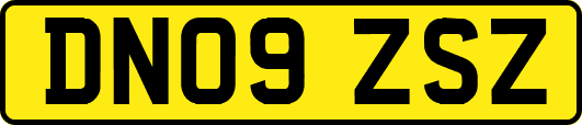 DN09ZSZ