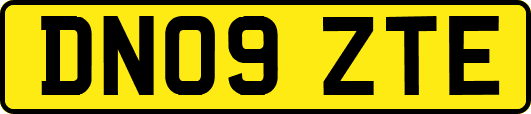 DN09ZTE