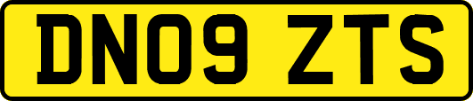 DN09ZTS