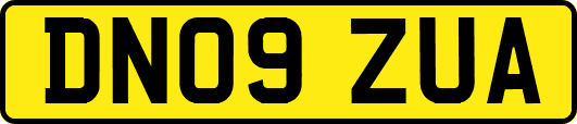 DN09ZUA