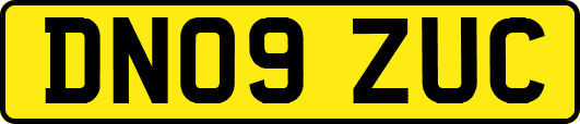 DN09ZUC