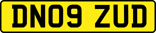 DN09ZUD