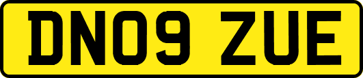DN09ZUE