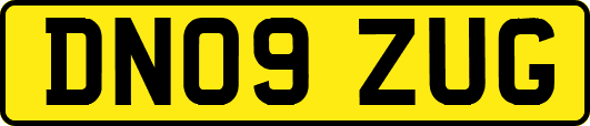 DN09ZUG