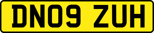 DN09ZUH