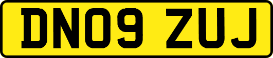 DN09ZUJ