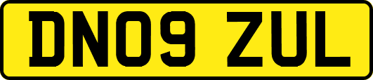 DN09ZUL