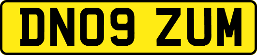 DN09ZUM