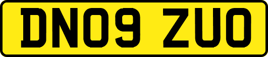 DN09ZUO