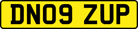 DN09ZUP