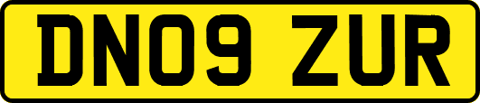 DN09ZUR