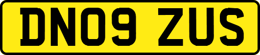 DN09ZUS