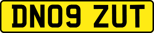 DN09ZUT