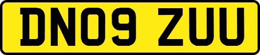 DN09ZUU