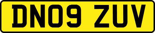 DN09ZUV