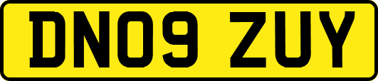 DN09ZUY