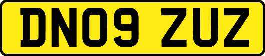 DN09ZUZ