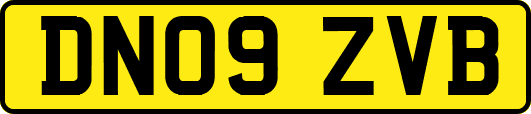 DN09ZVB