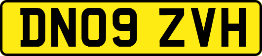 DN09ZVH