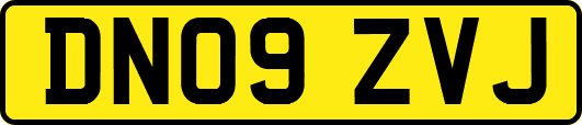 DN09ZVJ