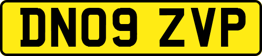 DN09ZVP