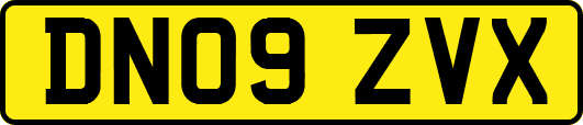 DN09ZVX